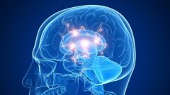 马斯克旗下脑机结合公司宣布2020上半年进行人体测试
