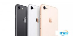 日经新闻：苹果明年春季将发布新款低价iPhone，4.7英寸屏