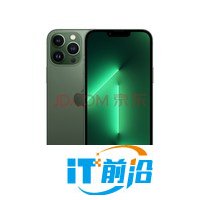 Apple iPhone 13 Pro Max (A2644) 128GB 苍岭绿色 支持移动联通电信5G 双卡双待手机