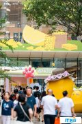 爱在科技中流淌：anyfree自在家与深圳